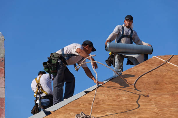Best Storm Damage Roof Repair  in Lewisburg, OH